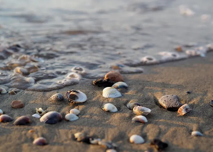 Bright House With Garden Near To The - Beahost *