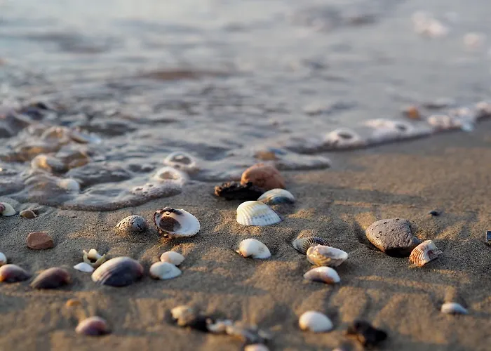 Lejlighed Bright House With Garden Near To The - Beahost
